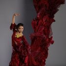 American Repertory Ballet Presents CARMEN
