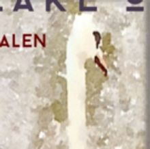 THE LAKE OF SORROWS Expands on Swan Lake's Dark Essence
