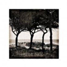 Warrington Contemporary Arts Festival Open Winners Exhibit at Town's Top Galleries