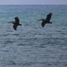 Summer Issue of Kelsey Review Available Online