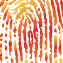 Director, Timothy Storey of THE MOUSETRAP at DreamWrights