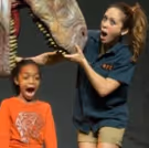 Velma V. Morrison Family Theatre Series Announced