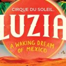 Cirque du Soleil Commissions Mural for Chicago's Year of Public Art