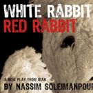 Theatre Entertainment Meets Social Experiment with WHITE RABBIT RED RABBIT