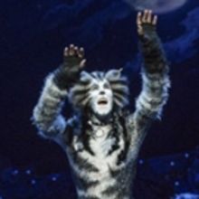 CATS Dances Into Stockholm This Fall!
