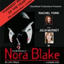 Rachel York and Julia Murney to Star in Industry Reading of 'NORA BLAKE' Musical
