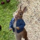 VIDEO: First Look - James Corden Lends Voice in New Animated Film PETER RABBIT