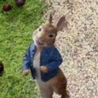 VIDEO: First Look - James Corden Lends Voice in New Animated Film PETER RABBIT Video