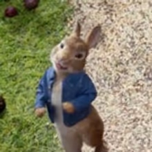 VIDEO: First Look - James Corden Lends Voice in New Animated Film PETER RABBIT