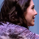 Photo Flash: The Comrades present In THE WAKE by Lisa Kron