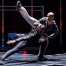 Review Roundup: A LETTER TO MY NEPHEW at Brooklyn Academy Of Music