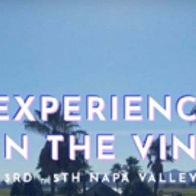 Sara Evans &amp; More Join Line Up for Live In The Vineyard Adds Artists This November