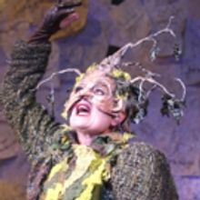BWW Review: Village's INTO THE WOODS Has Moments in the Woods but No Connections