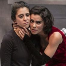 Photo Flash: THE MAIDS at American Players Theatre