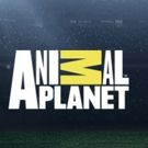 All-New Season of Hit Series TANKED Premieres On Animal Planet 10/6