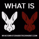 Denver Theatre Company Goes Down the Rabbit Hole in WHITE RABBIT RED RABBIT