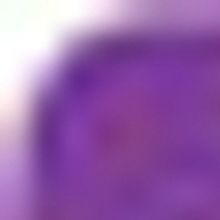 TCT On Tour presents YOUNG ABE LINCOLN