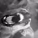 REBELLION DOGS to Return to the Stage at BAX/Brooklyn Arts Exchange
