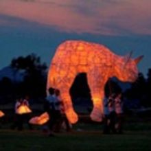 Magnet Theatre to Host 17th Annual Clanwilliam Arts Project, THE LIZARD, THE BEETLE, 