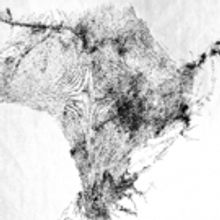 2017 Warrington Contemporary Arts Festival Announces Art & Photography Open Winners