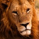Wild Wednesdays Return to Smithsonian Channel with Three New Specials