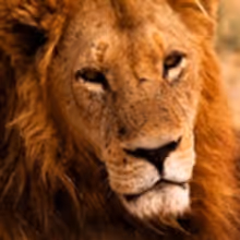 Wild Wednesdays Return to Smithsonian Channel with Three New Specials