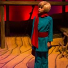 BWW Review: Theater Works Presents THE LITTLE PRINCE