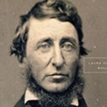Essex Books Presents Shelf Awareness: Dinner with Thoreau and the Concord Gang