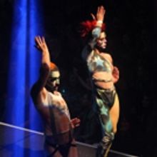 The Vogue Ball to Return with 'Se7en Deadly Sins' Theme at House of Suarez