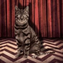 Trophy Scars to Celebrate 15th Anniversary at White Eagle Hall