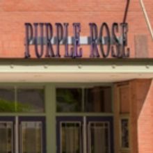 The Purple Rose Theatre Company Awarded $38,000 from MCACA