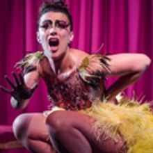 BWW Review: UGLY DUCKLING at Melbourne Fringe