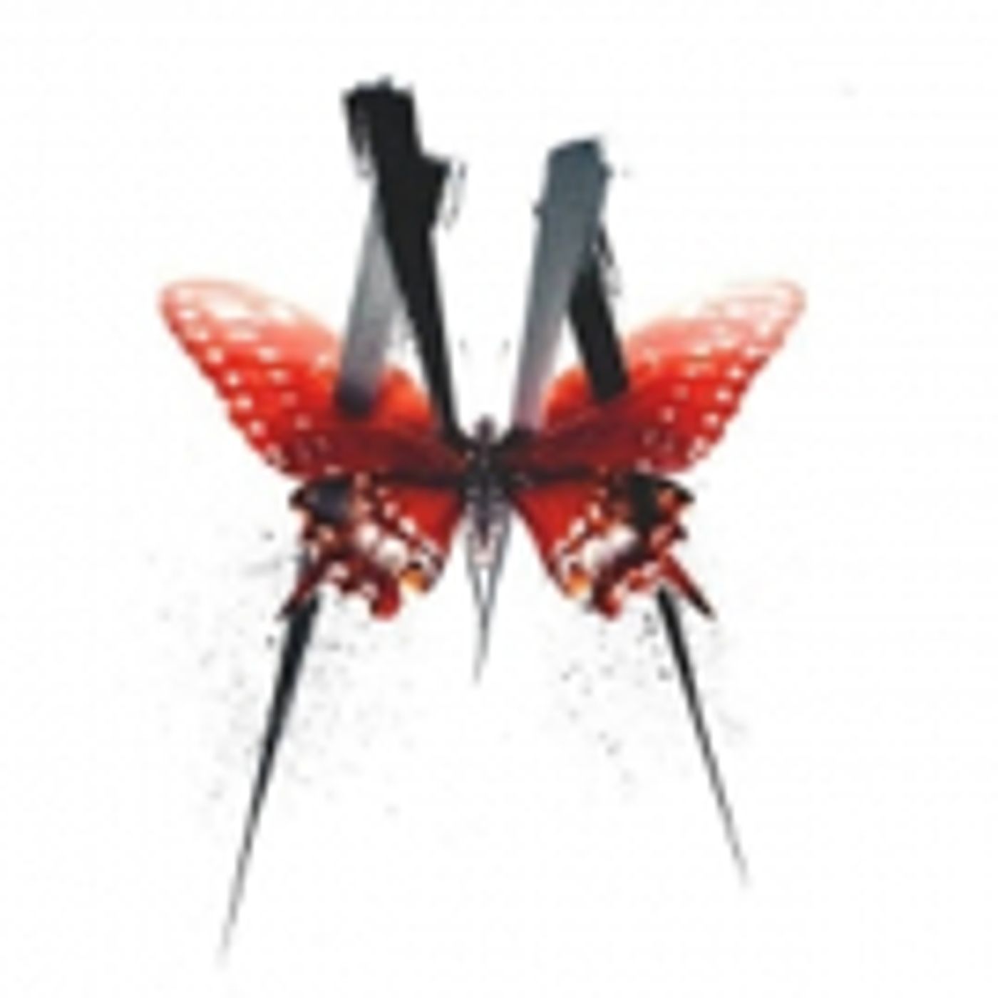 BWW Morning Brief June 30th, 2017 - THE CAKE, GUYS AND DOLLS and More!  Image