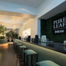 BWW Preview:  PURE LEAF TEA HOUSE in SoHo Presents a Total Tea Experience