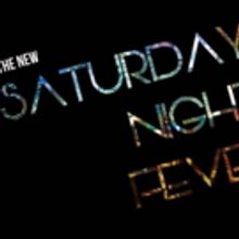 SATURDAY NIGHT FEVER Set for Summer at Lake Worth Playhouse