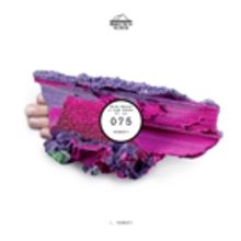 Mike Mago & Tom Ferry Release 'Remedy' ft. ILY