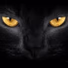 The Russian Arts Theater and Studio to Stage Mikhail Bulgakov's The Master and…