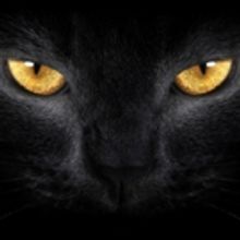The Russian Arts Theater and Studio to Stage Mikhail Bulgakov's The Master and…