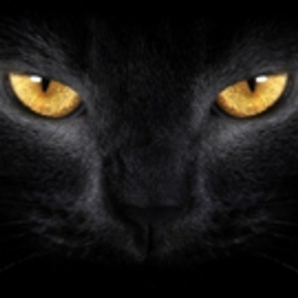 The Russian Arts Theater and Studio to Stage Mikhail Bulgakov's The Master and Margar Photo