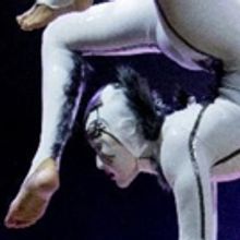 BWW Review: Cirque du Soleil Hatches Up OVO