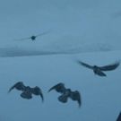 GAME OF THRONES Season Finale to Be Longest Episode in Series History