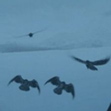 GAME OF THRONES Season Finale to Be Longest Episode in Series History