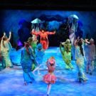 Photo Flash: First Look at Disney's THE LITTLE MERMAID at Flat Rock Playhouse