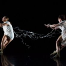 Dance Gallery Festival Returns For 11th Year; Lineup Announced