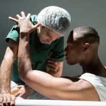 BWW Review: Costanzo Itchy to Bring Obscure Handel ACI to National Sawdust Audiences