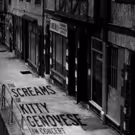 Sheri Sanders to Lead THE SCREAMS OF KITTY GENOVESE at Feinstein's/54 Below