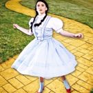 THE WIZARD OF OZ to Close Stageworks Theatre's 2016-17 Season This Summer