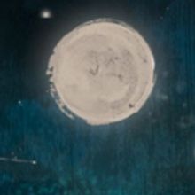 MOA Launches NIGHT SKY FESTIVAL in Time for Perseids Peak