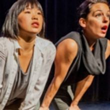 Talent from Cuba, Mexico and More Slated for Steppenwolf's Fall 2017 LookOut Series