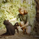FSLC Announces Spotlight on Documentary Lineup for NYFF55